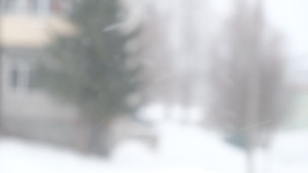 Nevadas Ciudad Vista Desde Ventana Deriva Nieve Árboles Nevados Coches — Vídeos de Stock