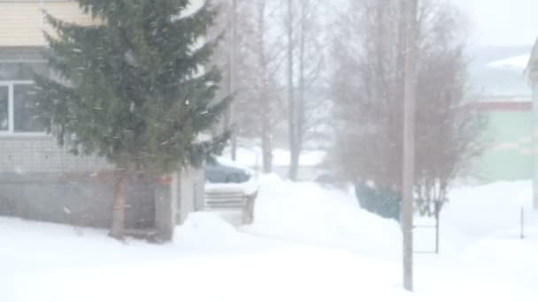 Floresta Neve Cidade Vista Janela Snowdrifts Árvores Nevadas Carros Edifícios — Vídeo de Stock