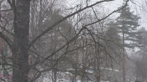 Schneefall Der Stadt Blick Aus Dem Fenster Schneeverwehungen Verschneite Bäume — Stockvideo