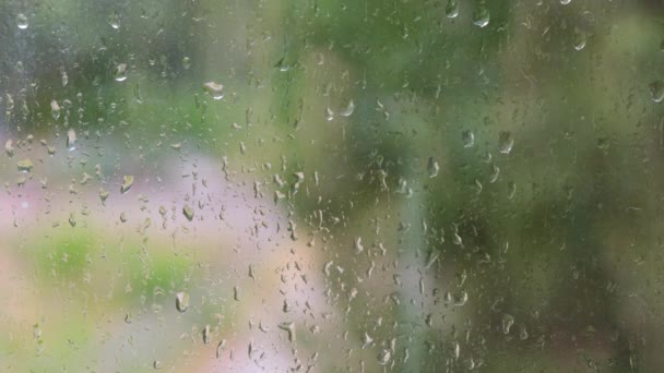 Regendruppels op een glazen raam, herfstconcept, raam op een regenachtige dag — Stockvideo