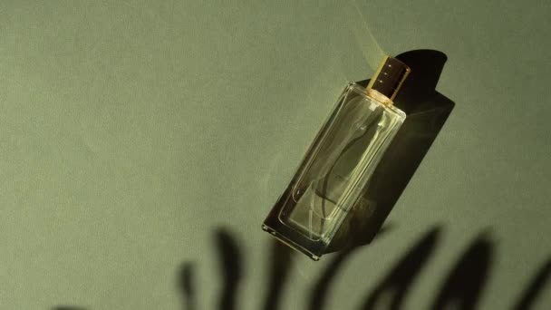 Garrafa Perfume Transparente Sombra Folha Palma Espaço Cópia Fundo Verde — Vídeo de Stock