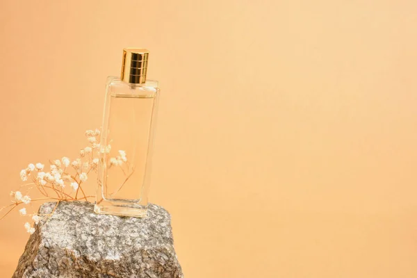 Gypsophila Kwiat Prostokątny Przezroczysty Makieta Puste Perfumy Butelka Złotym Wieczkiem — Zdjęcie stockowe