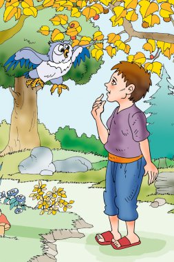 cocouk baykuş orman