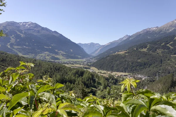 Uma vista do vale de Bormio — Fotografia de Stock