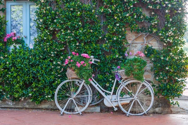 Bicycle Adorned Fuchsia Geraniums Colorful Summer Garden Flowers Leaning Jasmine — Stock Photo, Image