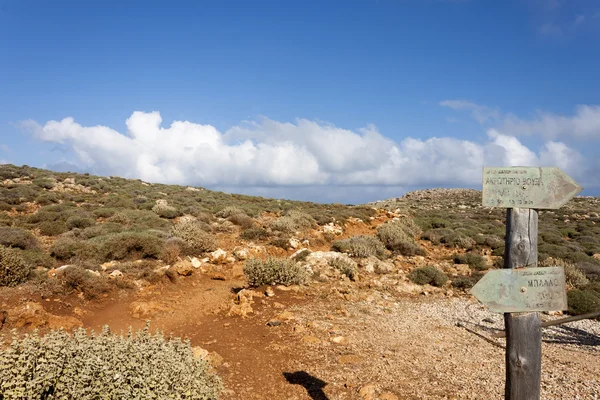 Mediterranean scrub on a mountain of Crete — Stok fotoğraf