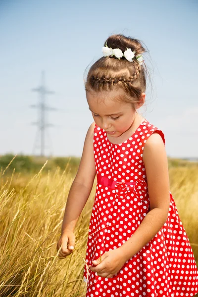 Søt liten jente i rød kjole. – stockfoto