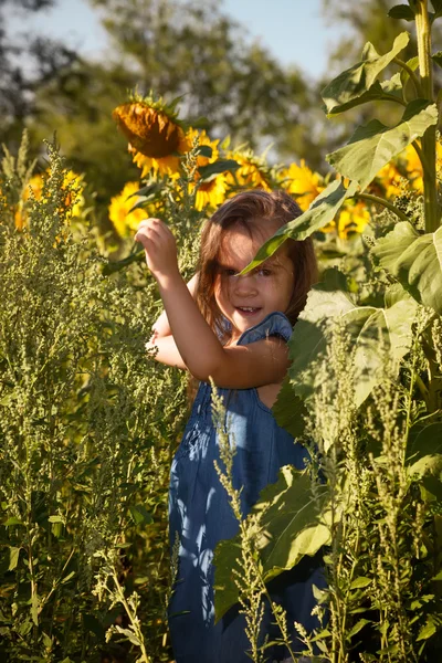 Little girl in blue dress among sunflowers — Stock Photo, Image