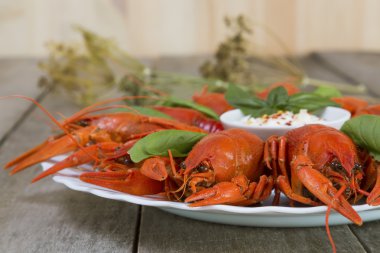Plate with red boiled crayfish and herbs clipart