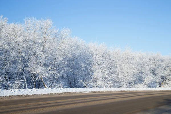 Winterlandschaft mit Straßenrand, schneebedeckten Bäumen und blauem Himmel — Stockfoto