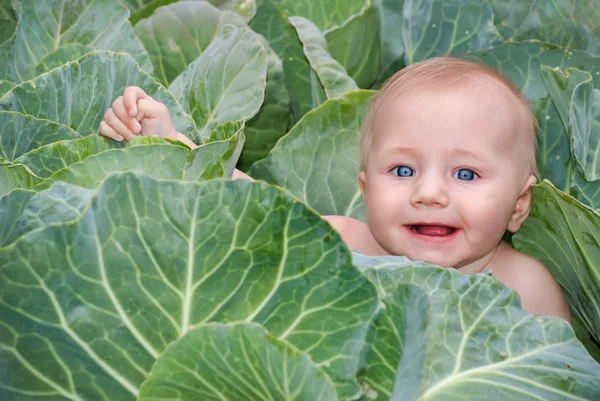 Happy beautiful baby in green cabbage leaves — Stock Photo, Image