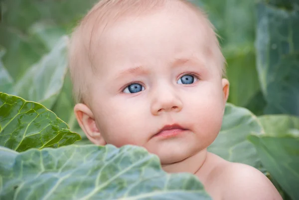 Happy beautiful baby in green cabbage leaves — Stock Photo, Image