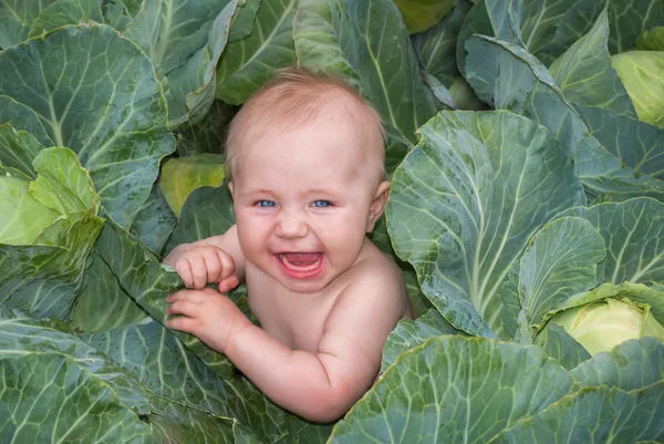 Happy beautiful baby in green cabbage leaves — Stock Photo, Image