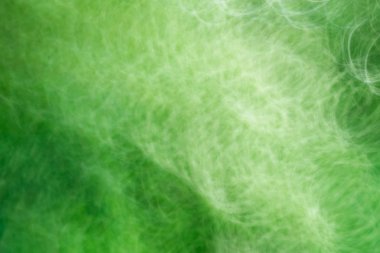 Bulanık yeşil arka plan beyaz düz çizgileri ile