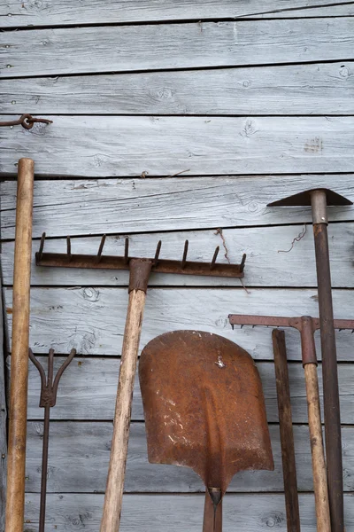 The old rusty tools for gardening