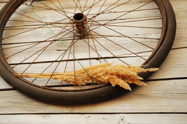Eski bisiklet tekerleği — Stok fotoğraf