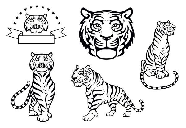 Tigre Vista frontal — Vector de stock