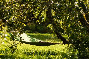 bahçesinde hamak