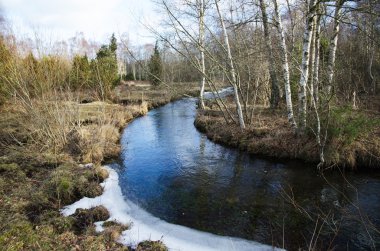 Küçük bir dere tarafından erken ilkbahar