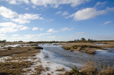 Düz bir otlak flood ile bahar