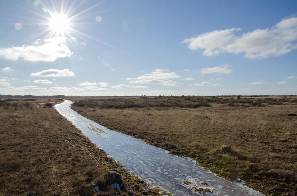 Grasland trail met ijs — Stockfoto