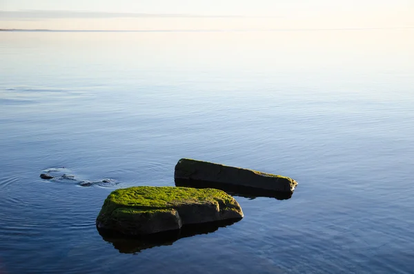 Rocas verdes en agua lisa —  Fotos de Stock