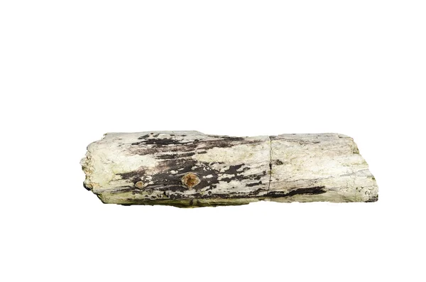 Piece of driftwood — Stock Photo, Image