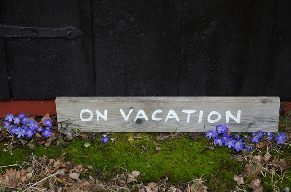 Op vakantie teken door blauwe bloemen — Stockfoto