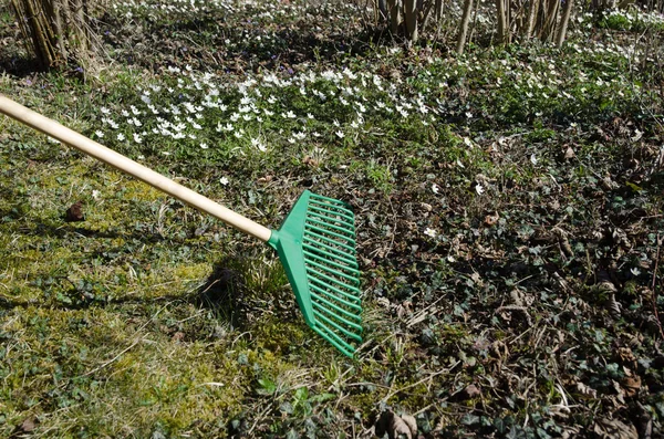 Jardinería de primavera con un rastrillo verde — Foto de Stock