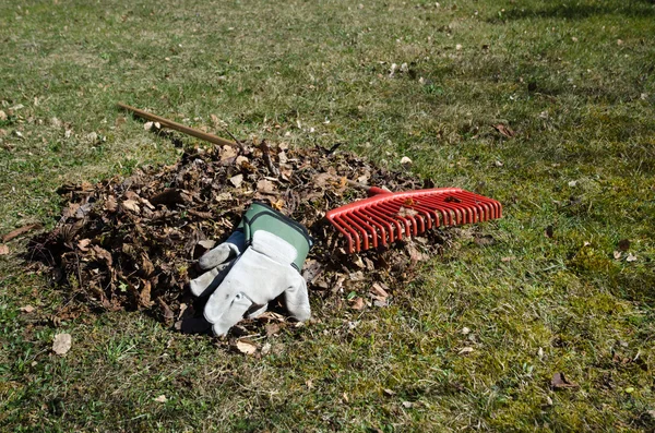 Un mucchio di foglie secche in una pausa nel giardino — Foto Stock