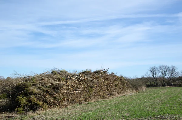 Pilha de madeira pronto para lascar — Fotografia de Stock