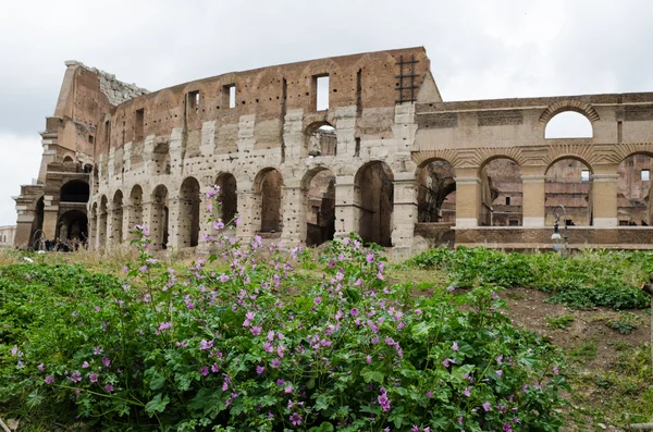 Voorjaar bij Colosseum, Rome — Stockfoto