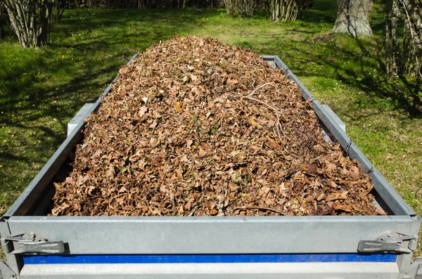 Dry leaves loaded in a small trailer — Stock Photo, Image