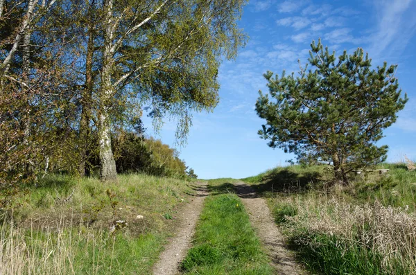 Rural tracks leads upwards — Stock Photo, Image