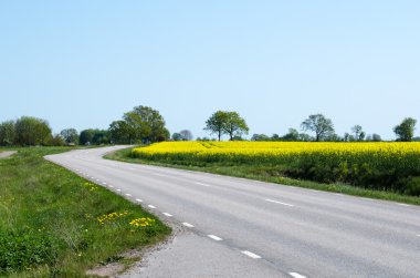 Yol bir bahar manzara renkli