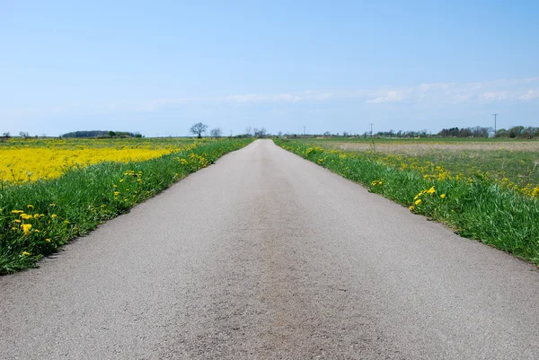 Weg in een landelijk op lente landschap — Stockfoto