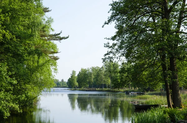 Vista verde de verão junto a um lago — Fotografia de Stock