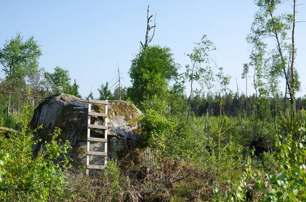 Wooden ladder by a big rock — Stock Photo, Image