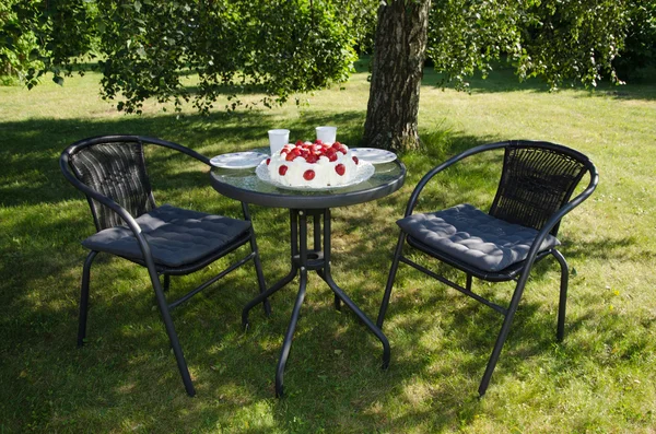 Table avec gâteau aux fraises dans un jardin — Photo