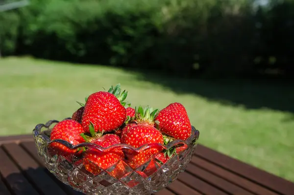 Schale mit Erdbeeren im Garten — Stockfoto