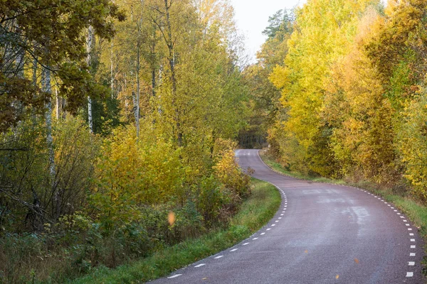 スウェーデン国内の旅の少ない道路で秋の季節 Smaland — ストック写真