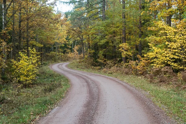 Chemin Gravier Courbé Dans Une Forêt Colorée Automne Smaland Suède — Photo