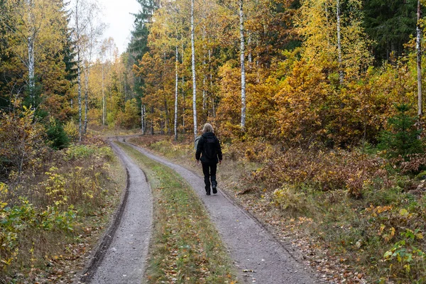 Γυναίκα Περπατώντας Ένα Χωματόδρομο Ένα Φθινοπωρινό Δάσος Στη Σουηδική Επαρχία — Φωτογραφία Αρχείου