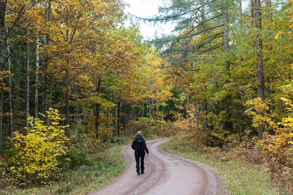 Trekking Uma Estrada Cascalho Sinuosa Temporada Outono Província Smaland Suécia — Fotografia de Stock