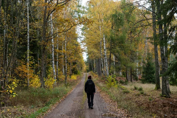 Waldbad Einem Schönen Herbst Farbigen Wald — Stockfoto