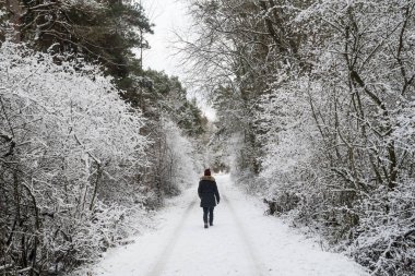 Ormanda karla kaplı bir patikada yürüyorum.