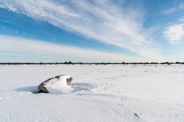 İsveç 'teki Oland Adası' ndaki Stora Alvaret 'in büyük düz manzarasında kış manzarası