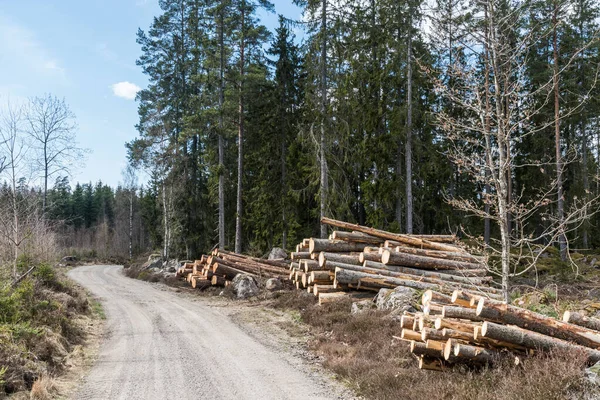 Vindlande Grusväg Med Timmerhögar Vid Vägkanten Skogen — Stockfoto