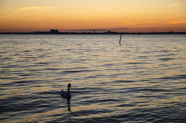 Horizonte de la ciudad al atardecer —  Fotos de Stock