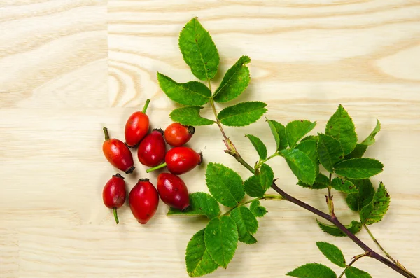 Rosehip berries with green leaves — Stock Photo, Image